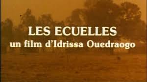 video-section-banner-image
