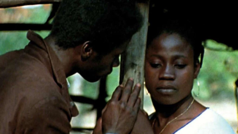 video-section-banner-image
