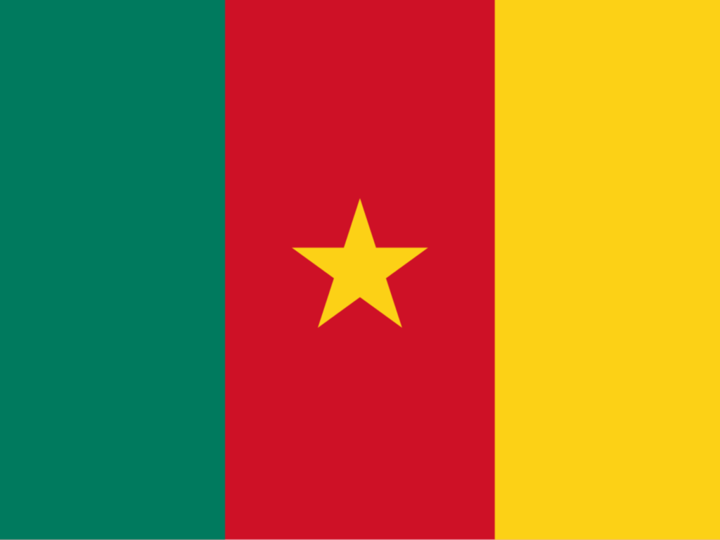 Cameroun salles de cinema